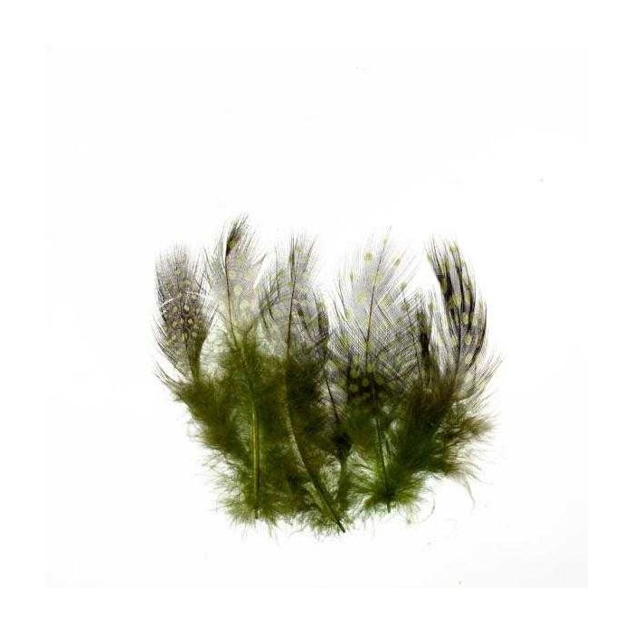 Federn oliv 20 St 0051-21 4016490325383  