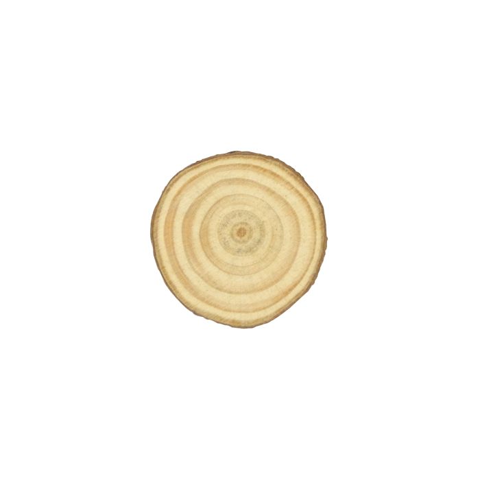 Holzscheiben natur ca.30-40 mm 6 St 0636-40545 4016490243854  