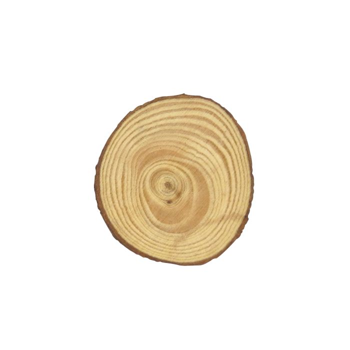 Holzscheiben natur ca.40-50 mm 4 St 0636-50545 4016490243878  