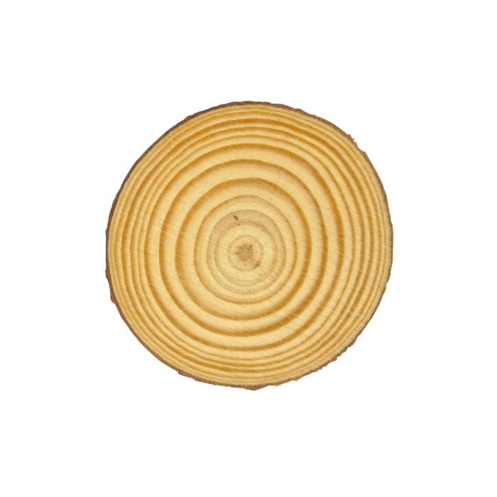 Holzscheiben natur ca.50-60 mm 3 St 0636-60545 4016490243885  