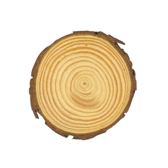 Holzscheiben natur ca.60-70 mm 3 St 0636-70545 4016490243892  
