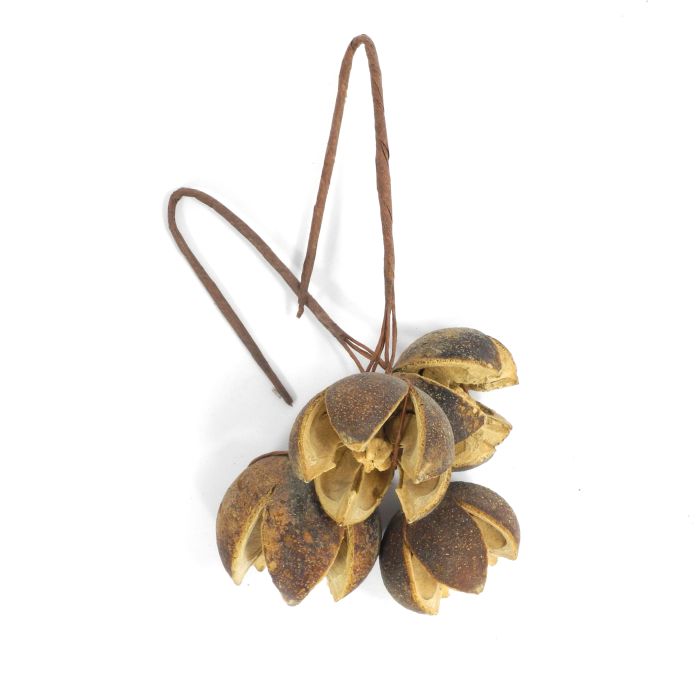 Früchte natur 2 Set 0664-00545 4016490890393  