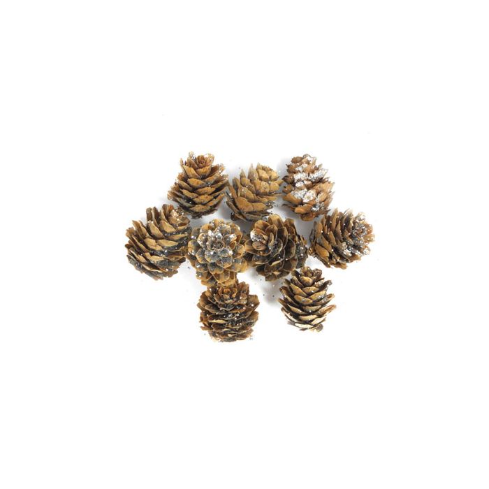 Zapfen natur silber glitter 0677-00925 4016490890522  