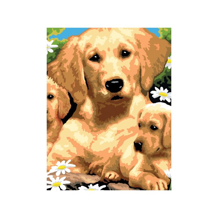 Malen nach Zahlen Junior Hundewelpen 22,2x29,8 cm 1 Pack, = 3 Bilder Pracht Creatives Hobby