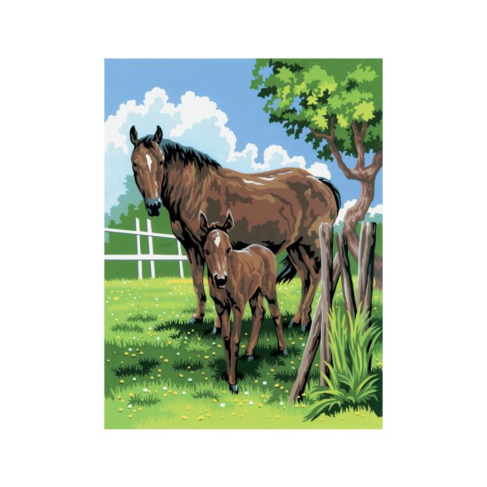 Malen nach Zahlen Junior Stute & Fohlen 33x24 cm Pracht Creatives Hobby