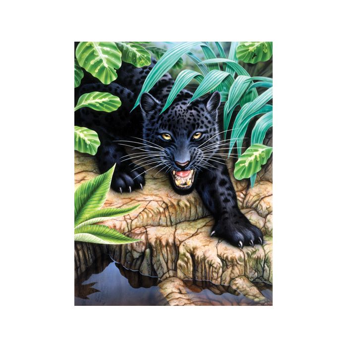 Malen nach Zahlen Junior Schwarzer Panther 33x24 cm