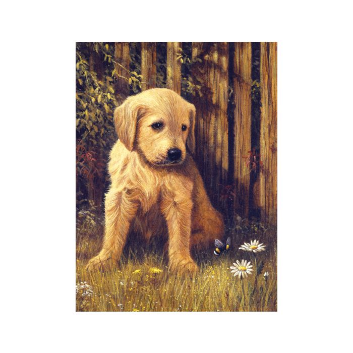 Malen nach Zahlen Junior Welpe 33x24 cm