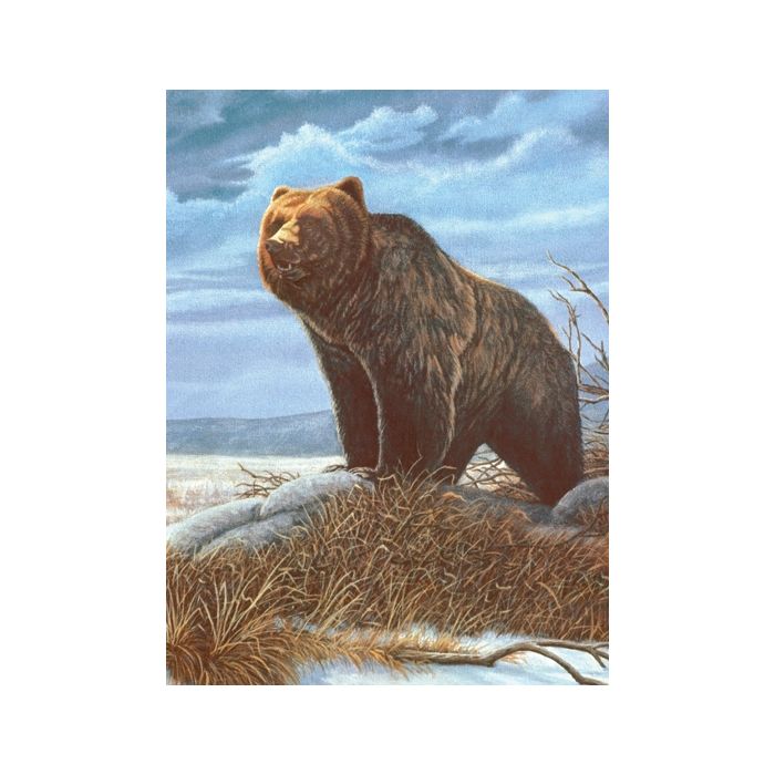 Malen nach Zahlen Junior Grizzly 33x24 cm