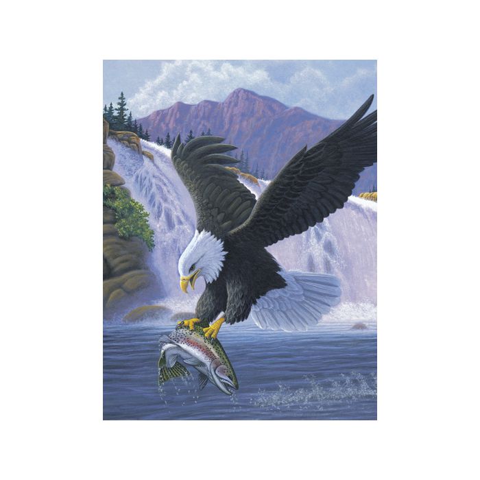 Malen nach Zahlen Junior Weißkopf-Seeadler 33x24 cm