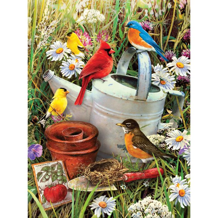 Malen nach Zahlen Junior Vögel 33x24 cm