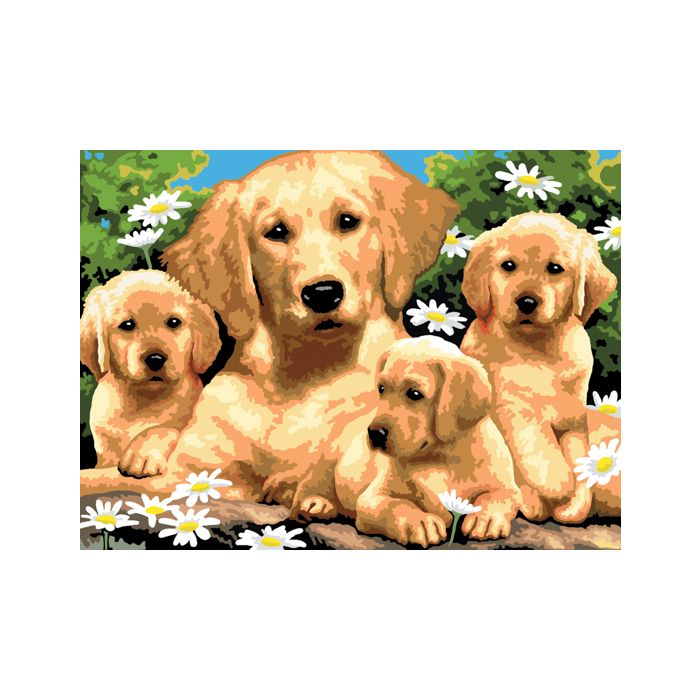 Malen nach Zahlen Junior Golden Retriever 40x32,5 cm