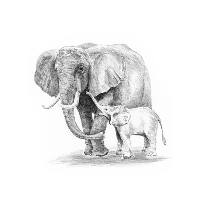 Skizzieren leicht gemacht Mini, Elefant 12,7x17,8 cm