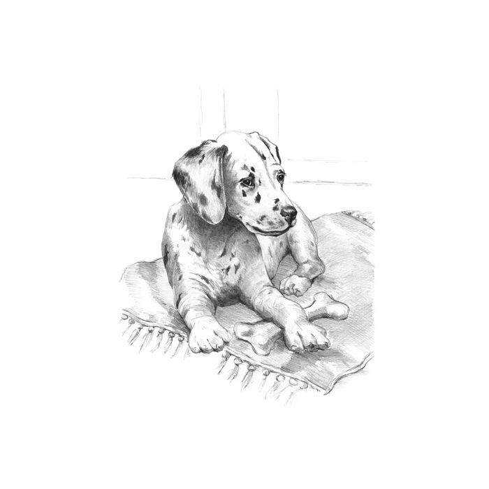 Skizzieren leicht gemacht Hunde & Pferde 25,4x20,3 cm 1 Pack. = 4 Bilder 4676-25031 4016490820307  