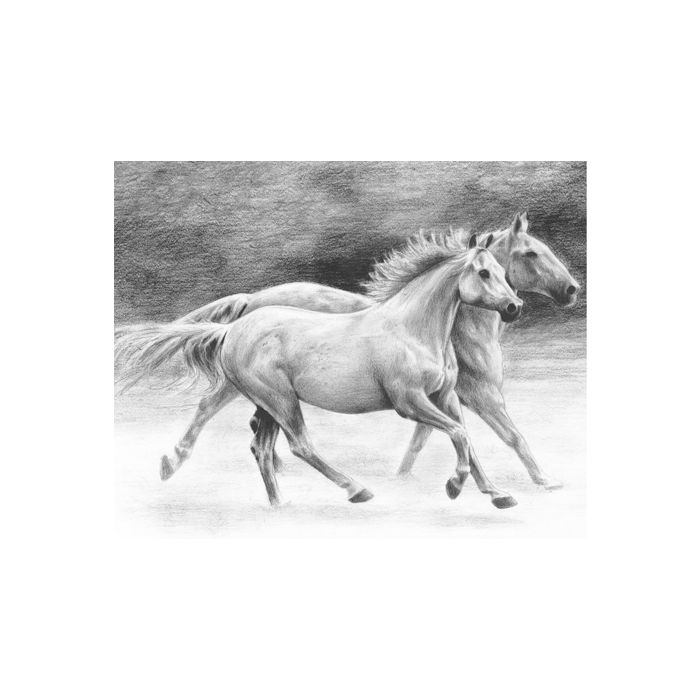 Skizzieren leicht gemacht Hunde & Pferde 25,4x20,3 cm 1 Pack. = 4 Bilder 4676-25031 4016490820307  