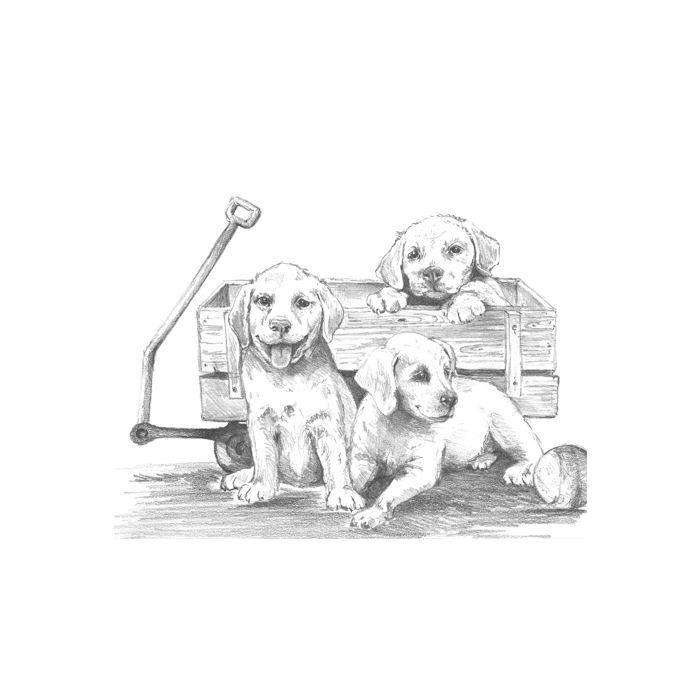 Skizzieren leicht gemacht Hunde & Pferde 25,4x20,3 cm 1 Pack. = 4 Bilder 4676-25031 4016490820307  