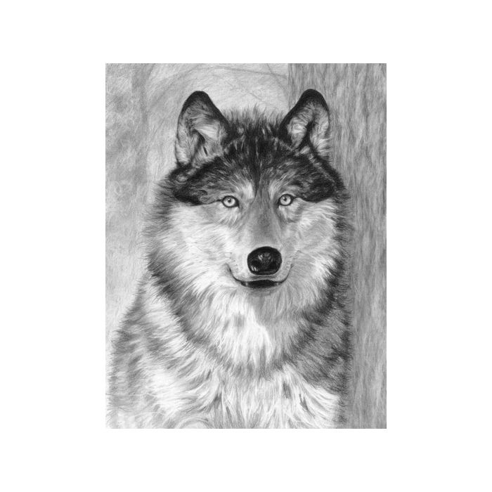 Skizzieren leicht gemacht Wolf 28,5x22 cm