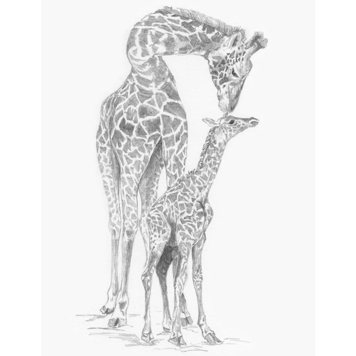 Skizzieren leicht gemacht Giraffe & Baby 28,5x22 cm 4676-28031 4016490891093  