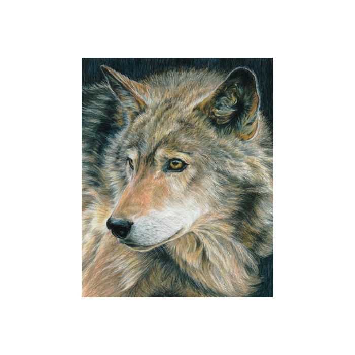 Malen nach Zahlen Buntstifte, Wildtiere 25,4x20,3 cm 1 Pack. = 4 Bilder 4677-25011 4016490820314  