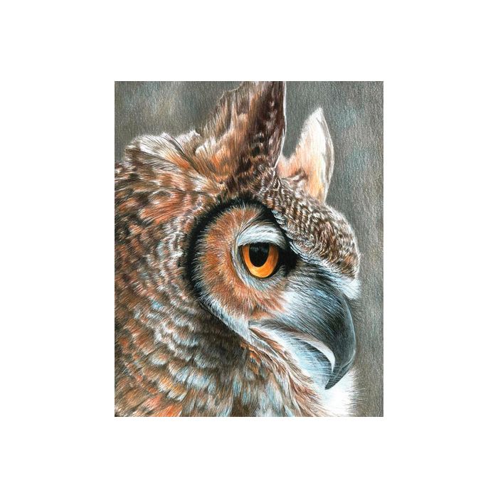 Malen nach Zahlen Buntstifte, Wildtiere 25,4x20,3 cm 1 Pack. = 4 Bilder 4677-25011 4016490820314  