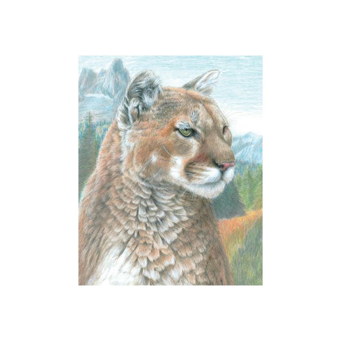 Malen nach Zahlen Buntstifte, Wildtiere 25,4x20,3 cm 1 Pack. = 4 Bilder 4677-25011 4016490820314  
