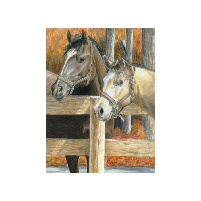 Malen nach Zahlen Buntstifte, Tiere 25,4x20,3 cm 1 Pack. = 4 Bilder 4677-25021 4016490820321  