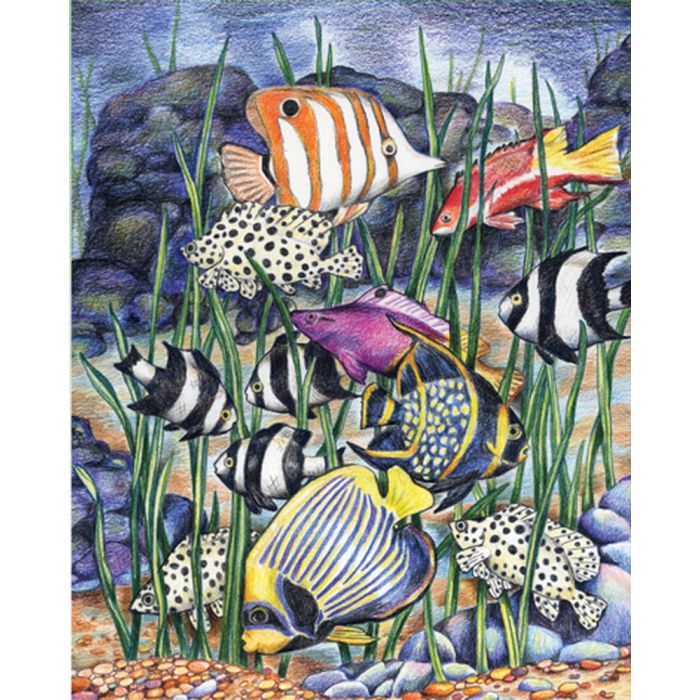 Malen nach Zahlen Buntstifte, Meerestiere 25,4x20,3 cm 1 Pack. = 4 Bilder 4677-25031 4016490820390  