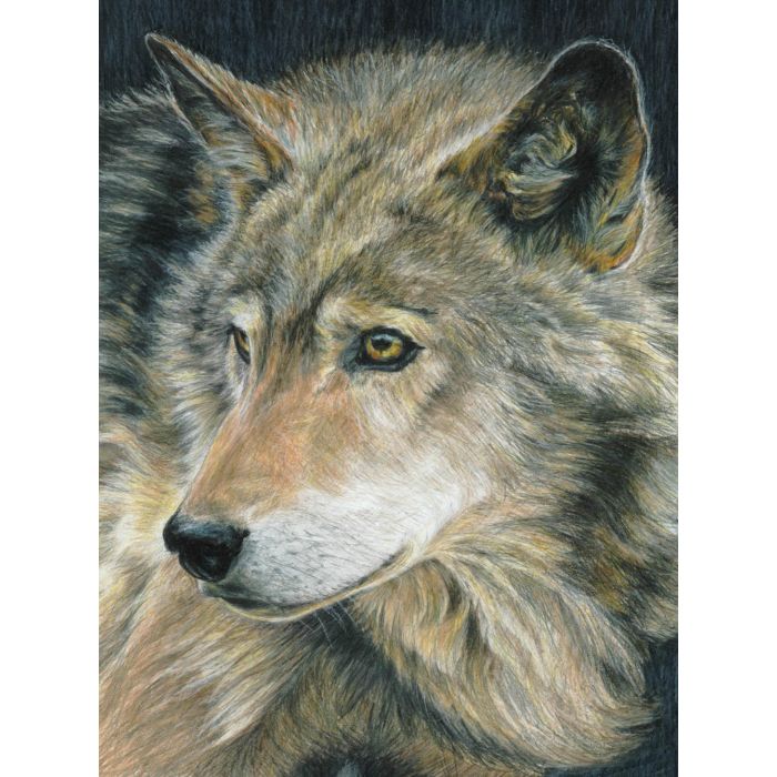 Malen nach Zahlen Buntstifte, Wolf 30x22,2 cm