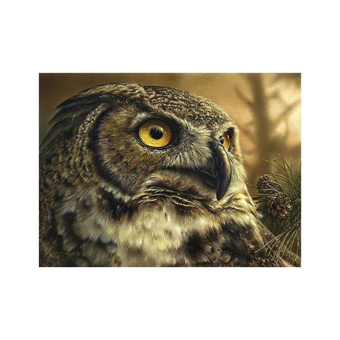 Diamond Painting Eule 40x30 cm 1 St