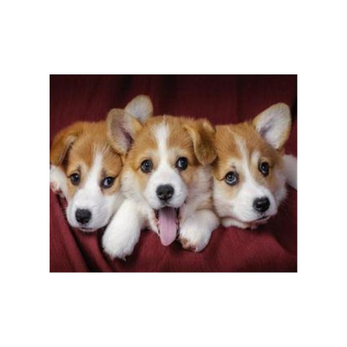 Diamond Painting Hundebabys 40x30 cm 1 Stück