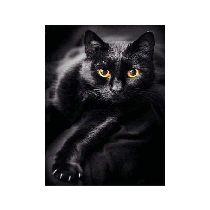 Diamond Painting Schwarze Katze 40x30 cm 1 St