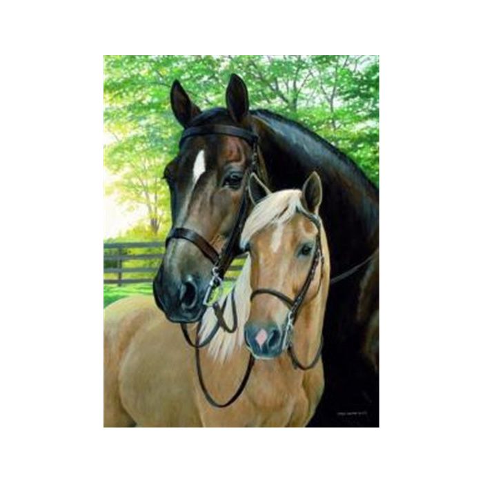 Diamond Painting Pferde 40x30 cm 1 St