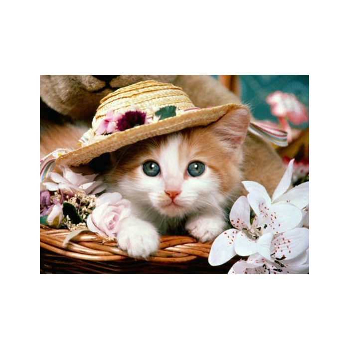 Diamond Painting Katze 40x30 cm Katze