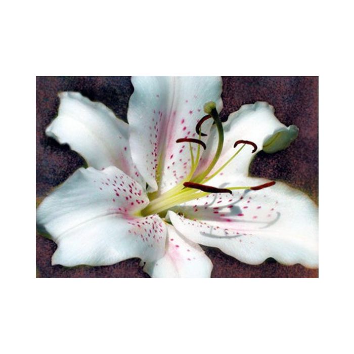 Diamond Painting Lilie 40x30 cm, Bild 1 von 2