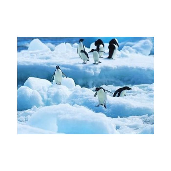 Diamond Painting Pinguine 40x30 cm, Bild 1 von 2