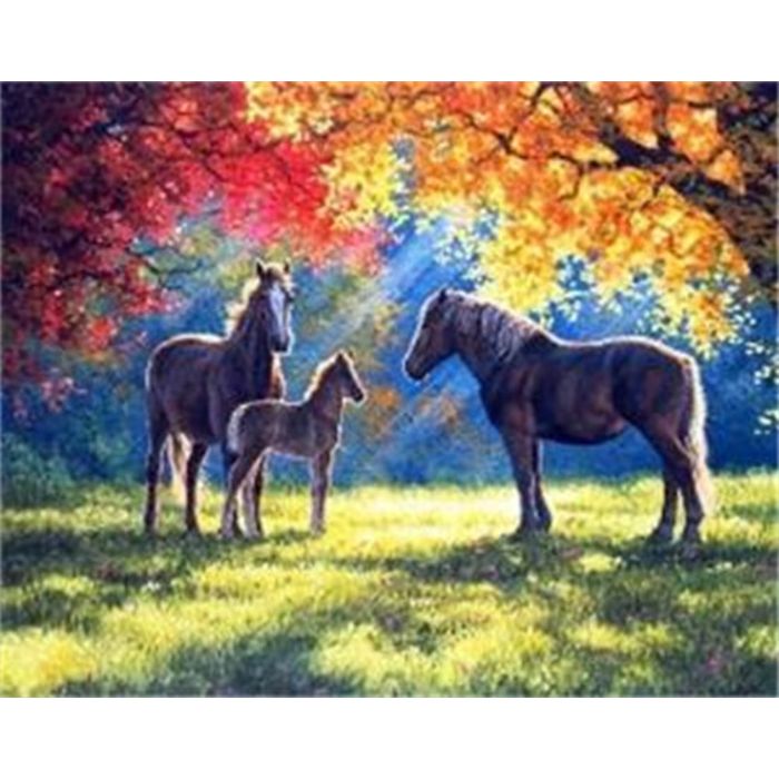 Diamond Painting Pferde im Herbst 40x30 cm, Bild 1 von 2