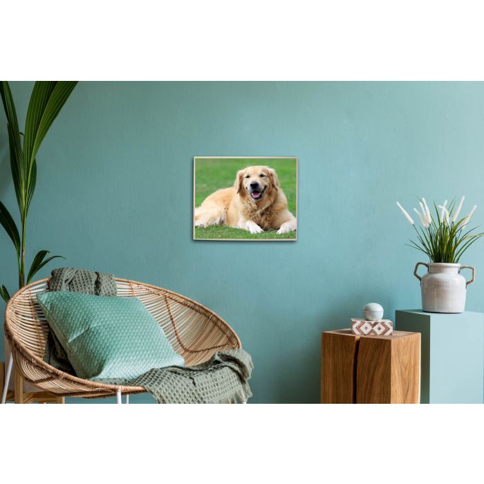 Diamond Painting Labrador 40x30 cm, Bild 2 von 2