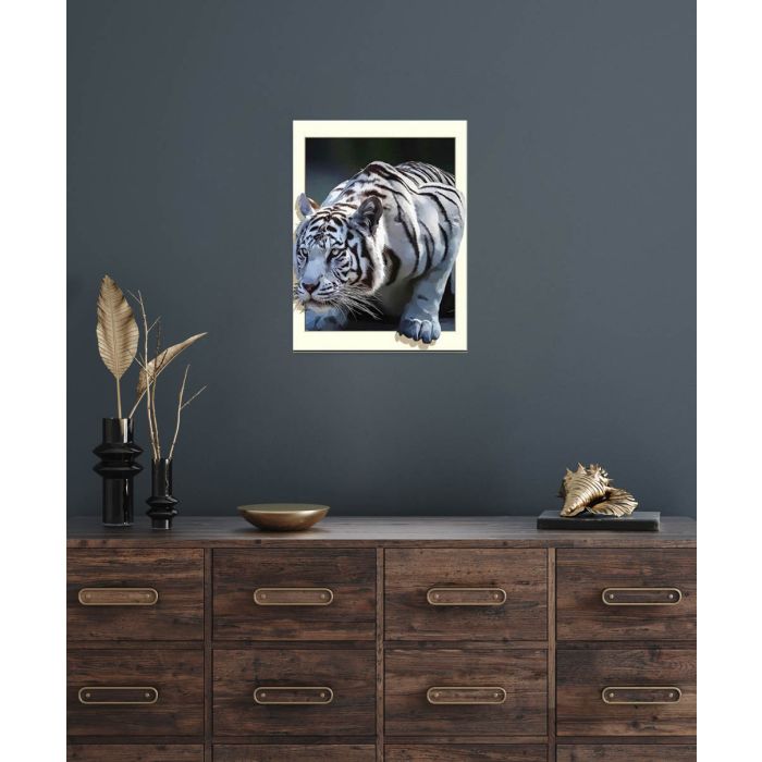 Diamond Painting weißer Tiger 40x30 cm 6037-40731 4016490818960  