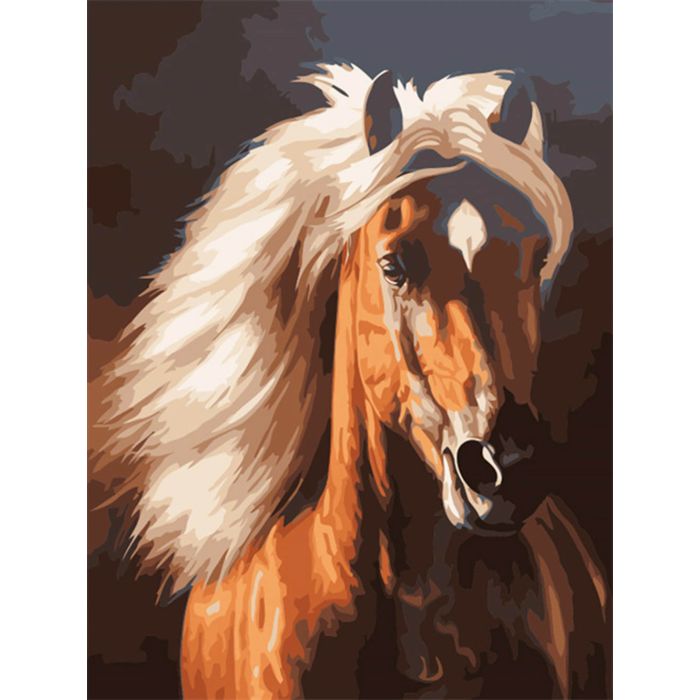 Diamond Painting Pferd 40x30 cm, Bild 1 von 2