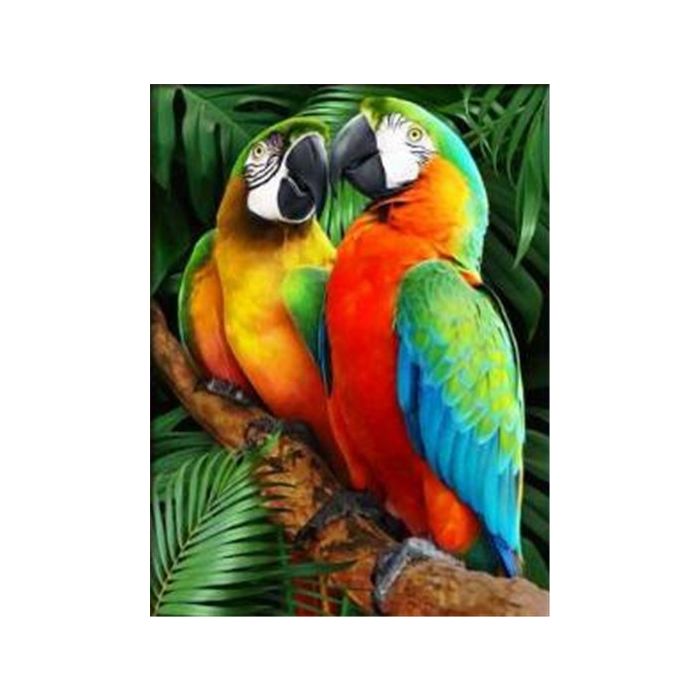 Diamond Painting Bunte Pappageien 50x40 cm 1 St