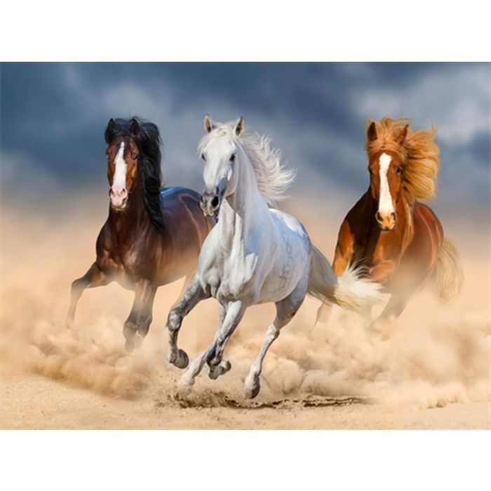 Diamond Painting Pferde im Galopp 50x40 cm 6037-50171 4016490322276  