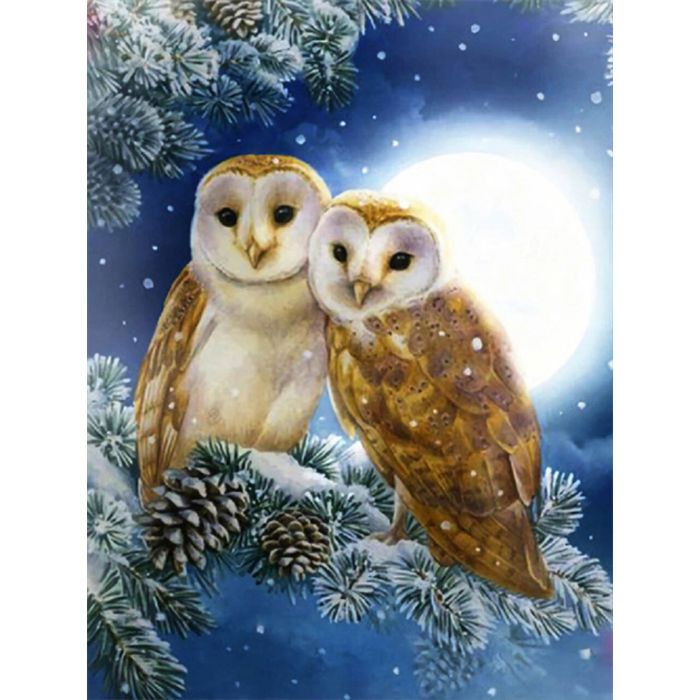 Diamond Painting Eulen 50x40 cm 6037-50221 4016490323785  