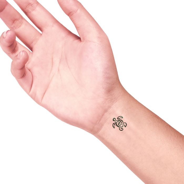 Ladot Stein Small turtle_49 C156367 8718503971513  