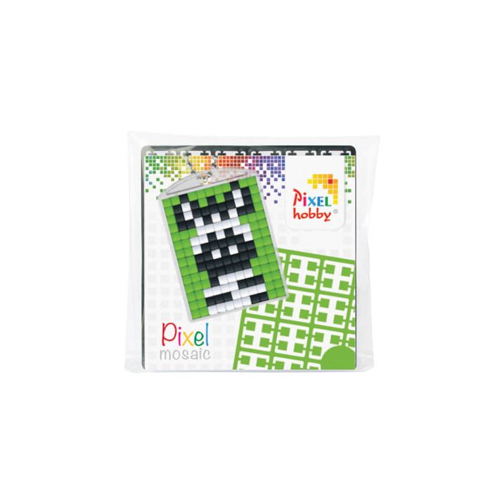 Pixel Zebra 1 Set