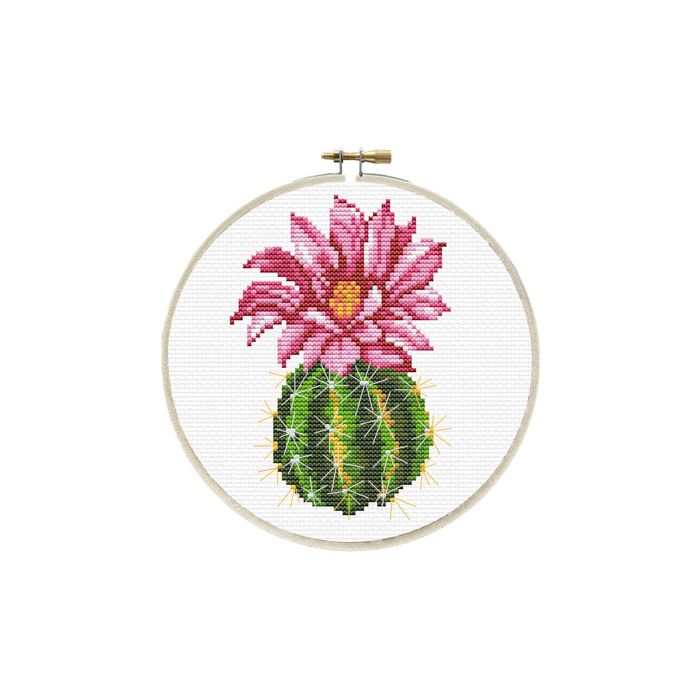 Ladybird Stickset Pink Cactus Ø 15,2 cm S240-062 4895225914326  