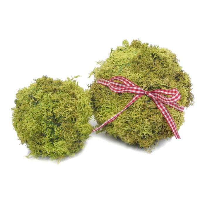 Tinkerbox Bastelset Natur-Herbstdekoration