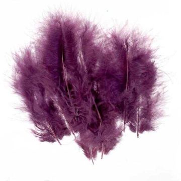 Federn fuchsia 20 Stück