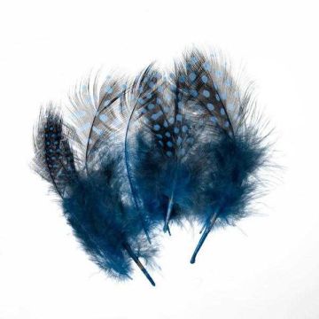 Federn hellblau