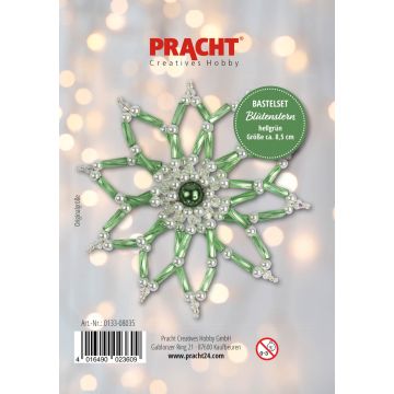 Bastelset Blütenstern hellgrün ca.8,5 cm Pracht Creatives Hobby Weihnachtsbaumschmuck , Baumschmuck
