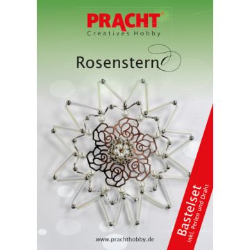 Bastelset Rosenstern weiß wachs- platinfarben 11x11 cm