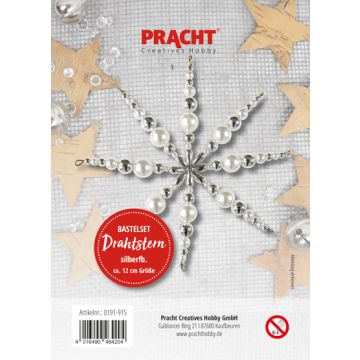 Bastelset Drahtstern weiß-silberfarben ca. 12 cm